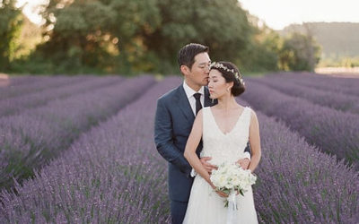 An elopement in the lavender fields