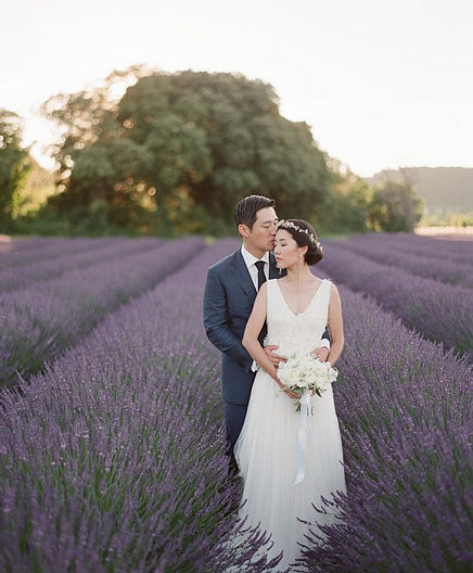 An elopement in the lavender fields